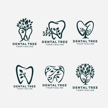 Set bundle of dental and tree logo design template with line art style Premium Vector