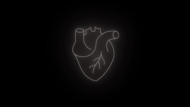 Neon human heart animation. Animation of a beating glowing human heart with alpha channel. Human heart beating against a black background animation.