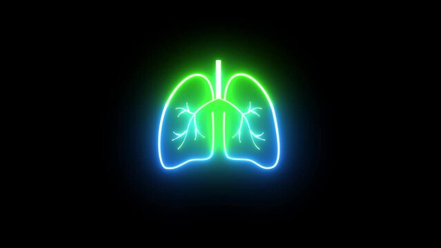 The appearance of the multicolor neon symbol lungs. Glowing line Disease lungs icon isolated on black background