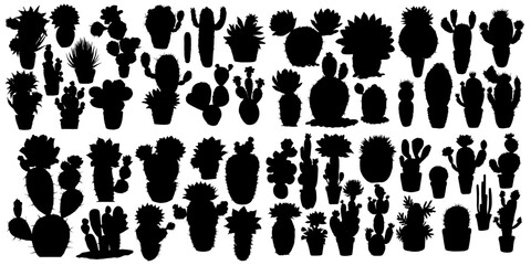 Cactus silhouettes