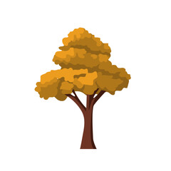 Yellow autumn tree vector illustration isolated on white background