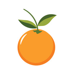 Fresh tangerine fruit vector illustration, mandarin orange in flat design style