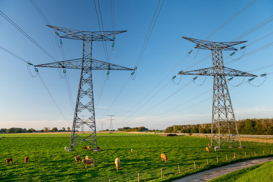 Pylones de ligne &agrave; tr&egrave;s haute tension en provenance de la centrale nucl&eacute;aire de Paluel en  Seine-Maritime. Troupeau de bovins dans un pr&eacute;