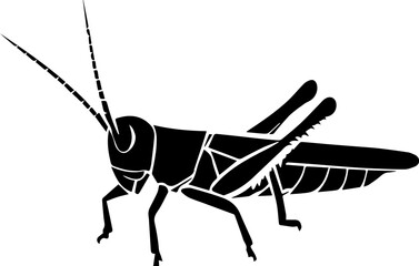 Leichhardts Grasshopper icon