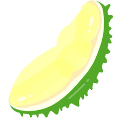 illustration of durian
