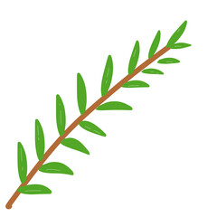 illustration of leaf