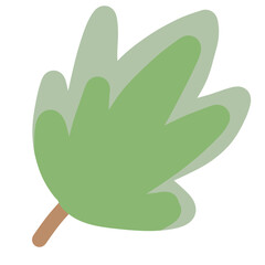 illustration of leaf
