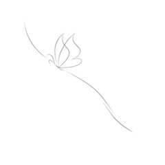 Butterfly line. Butterfly illustration with line art style.	