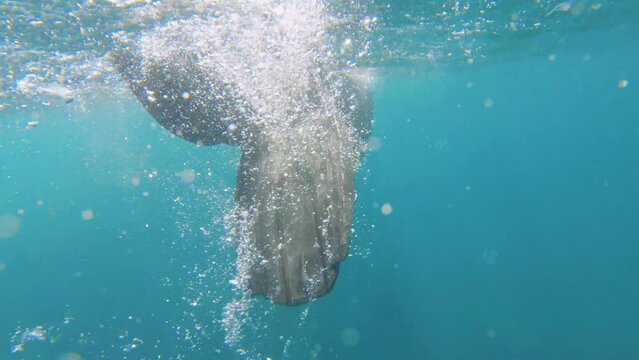 Back View Of A Male Free Diver Wearing Wet Suit And Long Fins Kicking Swimming On Surface Of Turquoise Blue Ocean Sea Salt Water With Ripple And White Bubbles Good Weather Blue Sky Day Time Sunshine