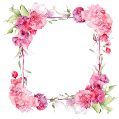 Obraz premium Beautiful Carnation Blooming Flower Frame