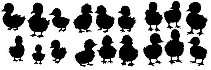 Duck silhouettes