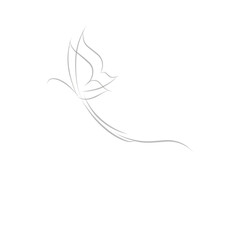 Butterfly in the line art style.