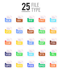 25 File Type Flat icon pack. vector illustration.