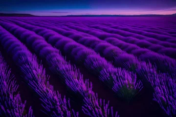 Foto op Plexiglas Neon lavender fields exuding a relaxing, synthetic scent in a dreamlike landscape.   © MB Khan