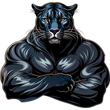 Strong Panther With Muscle