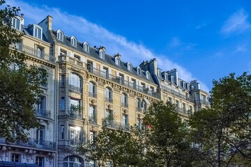 Fototapeta premium Paris, a beautiful building