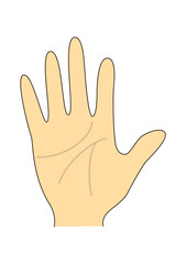 手のひらと手相のイラスト