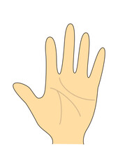 手のひらと手相のイラスト