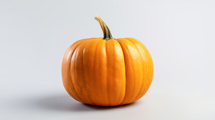 A single pumpkin on a dark white background or wallpaper