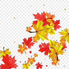 Golden Leaf Background Transparent Vector. Foliage Decoration Texture. Green Down Leaves. Isolated Plant Template.