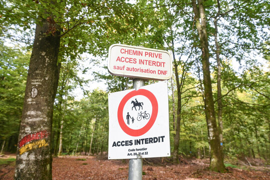 Belgique Wallonie Ardenne foret Anlier chemin priv&eacute; interdit environnement nature