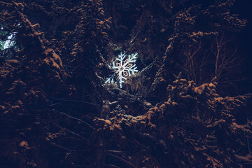 snowflake illumination inside fir tree at street