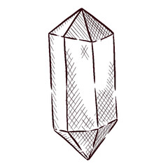 Gemstones and flowers vector illustrations set