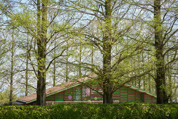 お花が楽しめる生駒高原