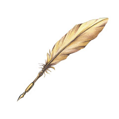Gold pen with quill feather and metal tip. Hand drawn watercolor illustration. Isolated object on a white background.