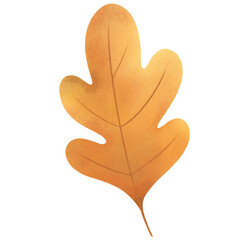 Autumn leaf isolate