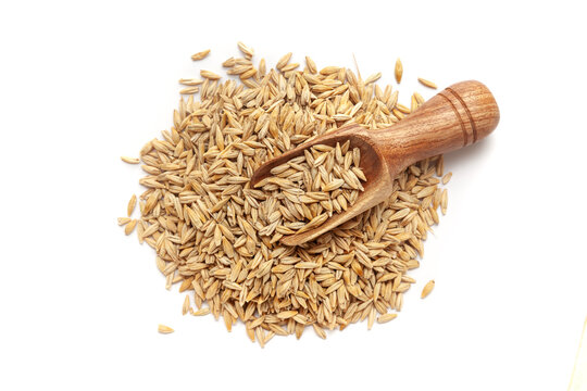 A pile of Organic Barley (Hordeum Vulgare) or jau grains with a wooden scoop, isolated on a white background. Top view  