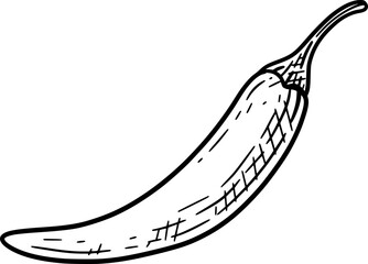 Vegetable Illustration