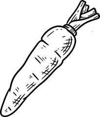 Vegetable Illustration