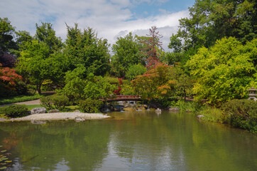 Japanese park in Vienna on a summer day. Zetagaya Park is small, quiet Japanese garden with cherry trees and fish pond, open to public from April to October.