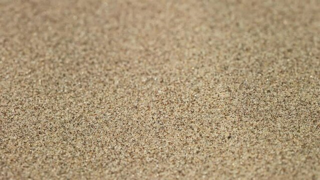 Close-up shot of sand. The texture of sand, grains of sand fly blown away by the wind.