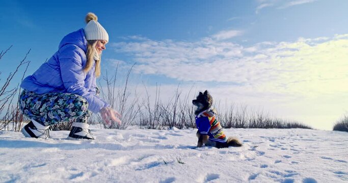 A blonde woman sprinkles snow on her dog on a walk.