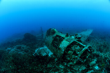 Hellcat Aircraft Wreck