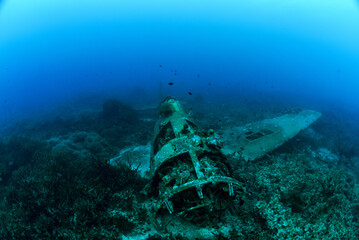 Naklejka premium Hellcat Aircraft Wreck