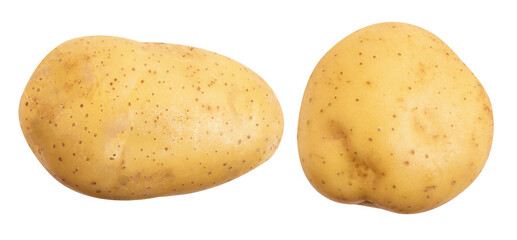 Potato or Solanum tuberosum on transparent background.