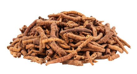 Dired roots of Polygala tenuifolia Willd or chinese senega on transparent background.Chinese herbs.