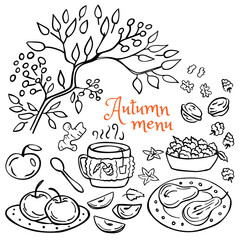 Autumn menu card. Set of autumn elements - tea, nuts, berries, branch, hot drink, jam, apples, pears. Vector illustration. Perfect for autumn menu, coloring book, greeting card, print.