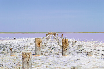 Old Ruined Wooden Bridge over a Pink Lake with Salty Shores