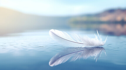 white feather on the surface of the water against the background of the mountains