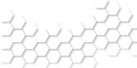 Fototapeta premium Abstract background with hexagon, modern abstract vector polygonal pattern. Futuristic abstract honeycomb technology white background. Luxury white hexagon pattern.