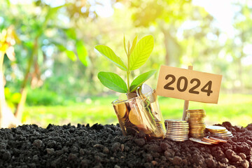 Year 2024 invest and grow money concept. Jar of coins with growing plant at sunrise.
