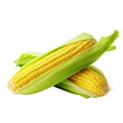 Fresh sweet corn isolated on a transparent background