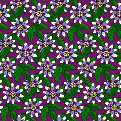 Seamless pattern with hand drawn doodle passion flower and leaves on purple background