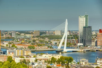 Cercles muraux Pont Érasme Rotterdam skyline
