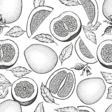 Hand drawn sketch style pomelo seamless pattern. Organic fresh fruit vector illustration. Retro fruit background