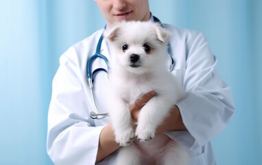 Precioso perro sostenido por un doctor veterinario en la clínica. Concepto salud de animales.  - obrazy, fototapety, plakaty